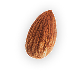 Almond