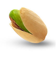 Pista