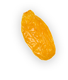 Raisin