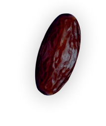Fig
