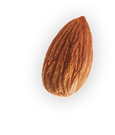 Almond